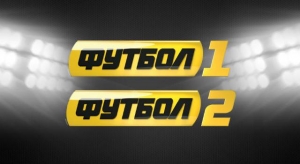 14092205869354